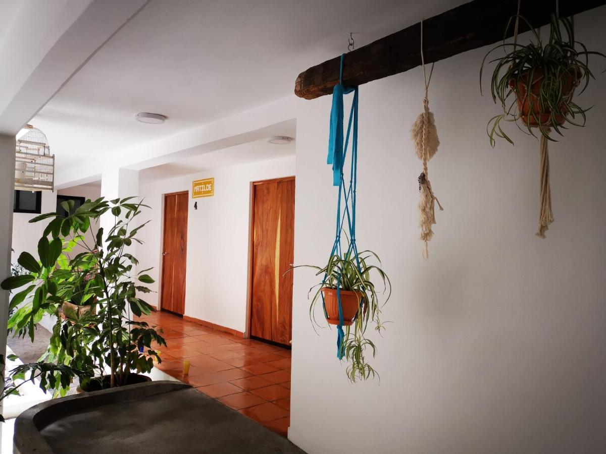 Santa Josefita B&B Cholula Eksteriør bilde